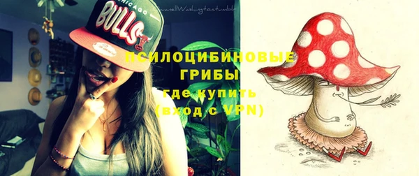 прущий лед Липки