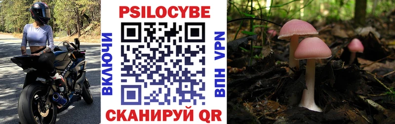 Галлюциногенные грибы мухоморы  где купить наркоту  Темрюк 