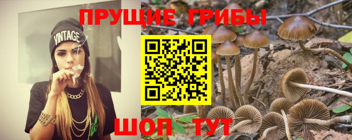 Галлюциногенные грибы GOLDEN TEACHER Темрюк