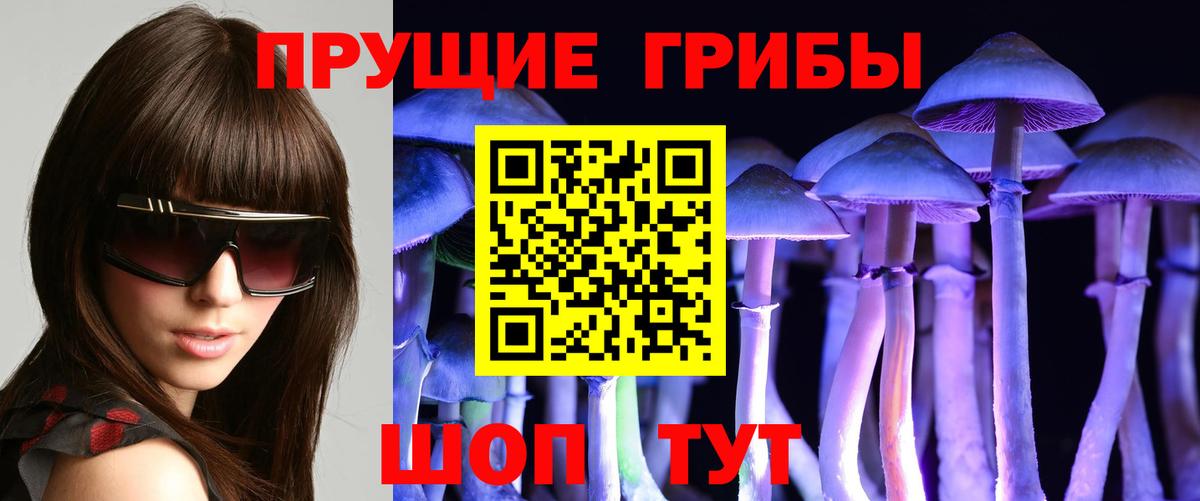 Темрюк  закладки  Вход с VPN  Псилоцибиновые грибы мухоморы 