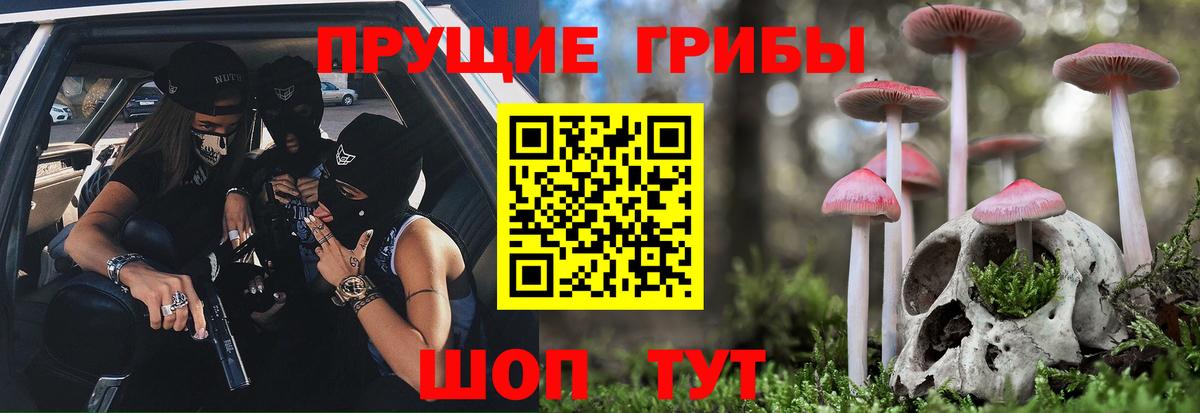 Галлюциногенные грибы Cubensis Темрюк