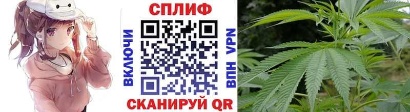МАРИХУАНА план  Темрюк 